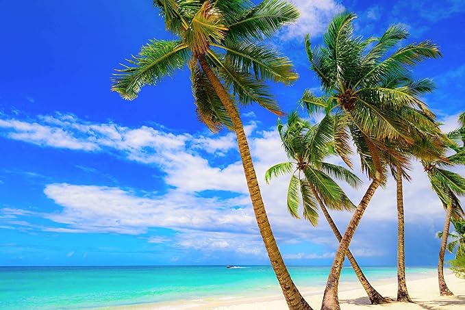 US Organic Fractionated Coconut MCT Oil (Liquid Coconut Oil), USDA Certified Organic, Non-GMO, Perfect for massage, carrier oil for DIY blends, Hair, Skin care. 100% Pure, Hexane-Free (8 oz)-BrightBean Baby