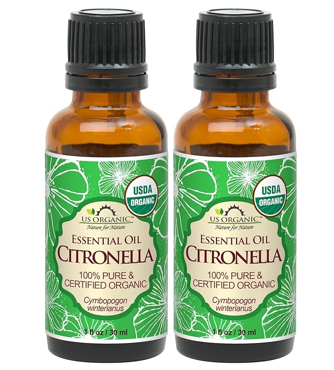 US Organic Citronella Essential Oil, USDA Certified, 100% Pure, 30 ml Pack of 2, Improved caps and droppers – Used for Skin Care, Many DIY Projects Like Candle Making and Much More-BrightBean Baby