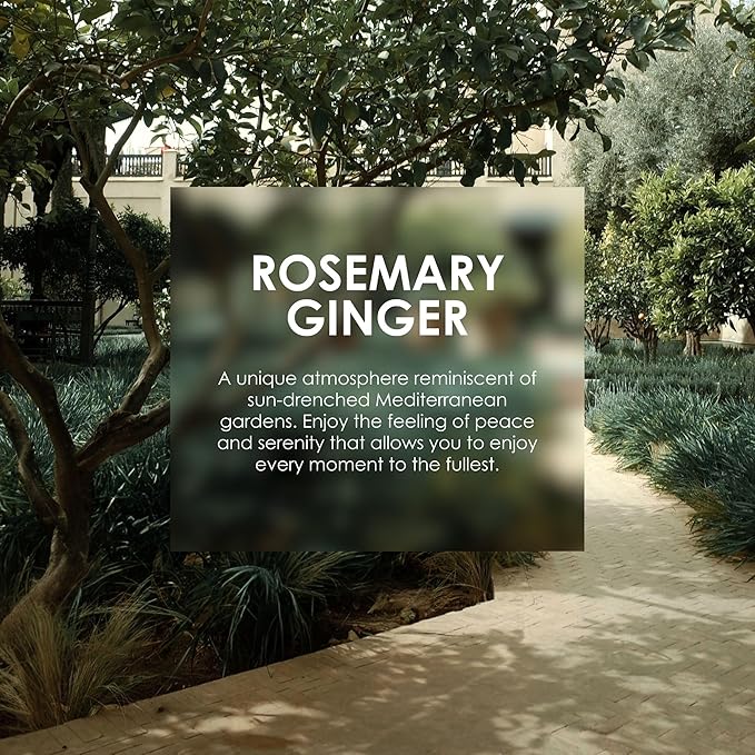 Jean & Len Heavenly Hand & Body Balm Rosemary & Ginger, for a fragrant care experience, with organic argan oil and shea butter, minimalistic bottle, without parabens & silicones, 16.91 Fl. Oz.-BrightBean Baby