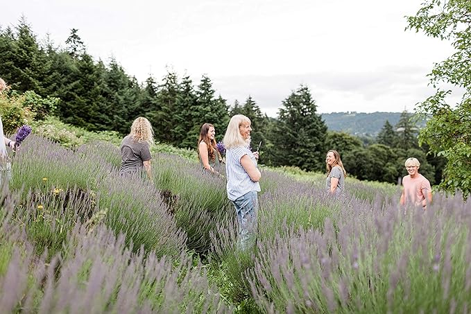 Victoria's Lavender Natural Body Products Gift Set - Handmade Soap, Hand & Body Lotion, Lip Balm, Body Candle Skin Care Sets & Kits, Lavender Bath and Body Products for Women, Lavender Currant-BrightBean Baby