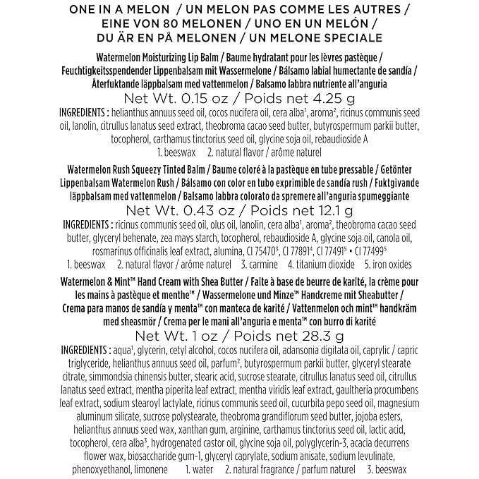 Burt's Bees Mothers Day Gifts for Mom, 3 Self Care Products, You're One in a Melon - Watermelon & Mint Hand Cream, Watermelon Lip Balm & Watermelon Rush Squeezy Tinted Lip Balm (Packaging May Vary)-BrightBean Baby