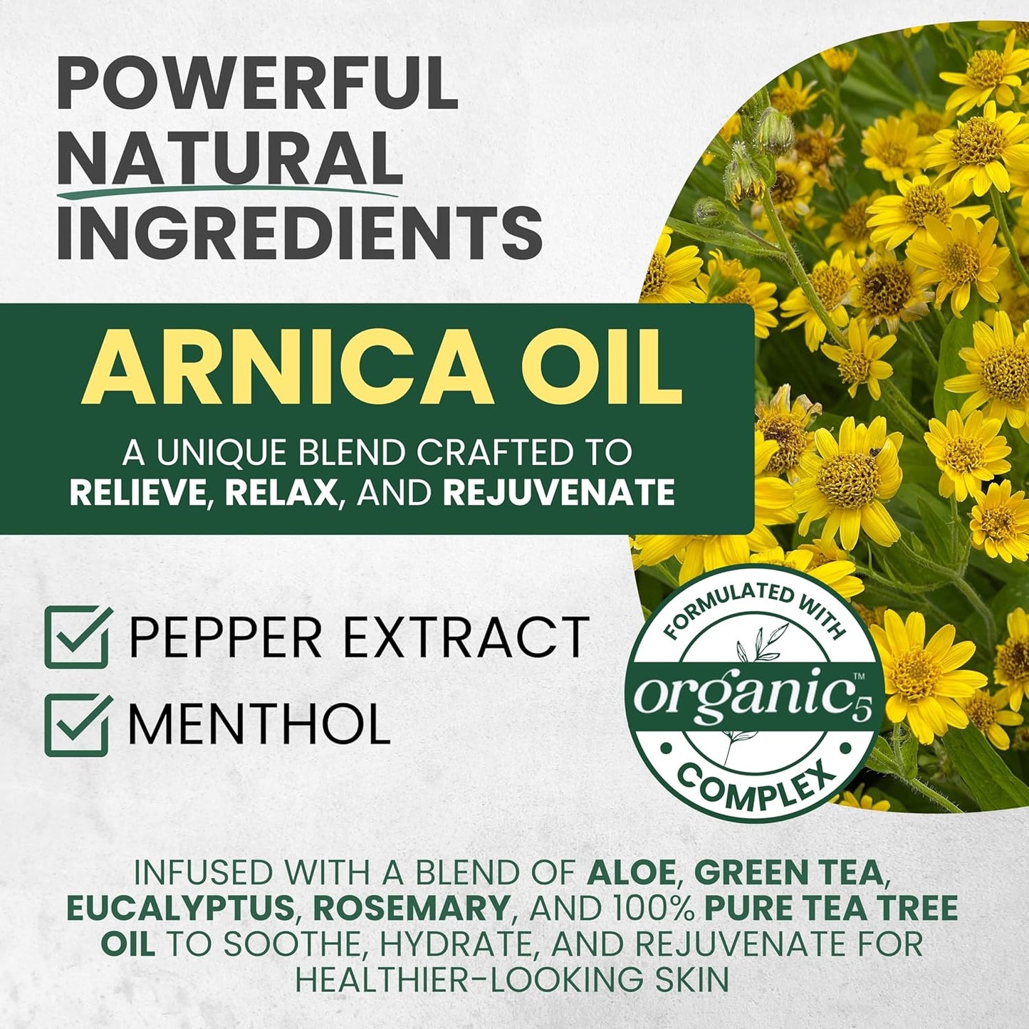 Sore Muscle Massage Oil for Massage Therapy with Arnica, Eucalyptus & Tea Tree Oil Blend for Deep Muscle Relief, Recovery, Softens Skin & Anti-Cellulite Massage for Professional & Home Use.-BrightBean Baby