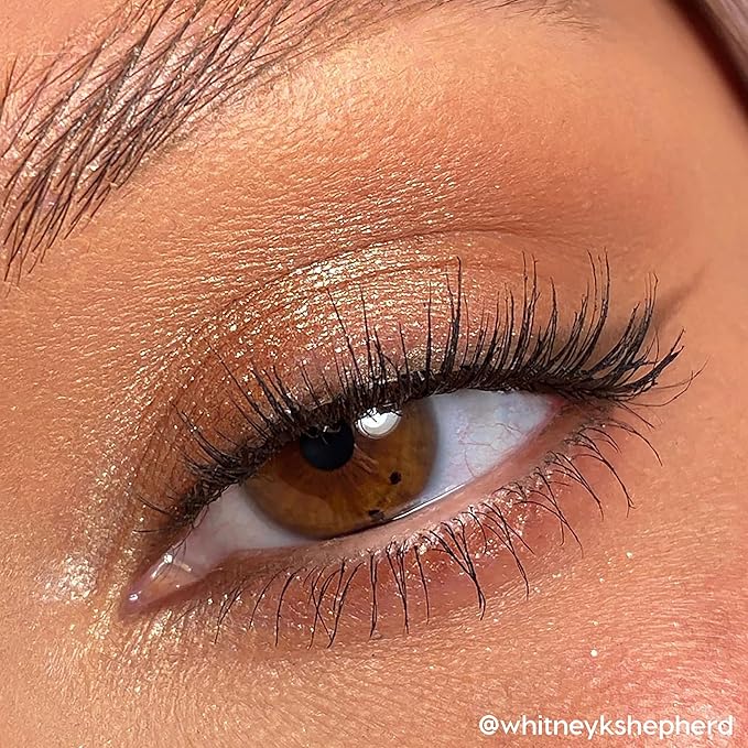Colourpop Going Coconuts Eyeshadow Palette - Cool-Toned Neutral Eyeshadow Palette with Ultra-Velvety and Silky Finishes - High-Pigment Eye Makeup with a Long-Wearing Formula (0.3 oz)-BrightBean Baby