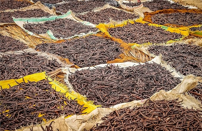 1 LB Vanilla Beans - Whole Extract Grade B Pods for Baking, Homemade Extract, Brewing, Coffee, Cooking - 16 Ounces | (Tahitian)